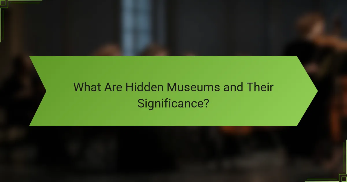 What Are Hidden Museums and Their Significance?