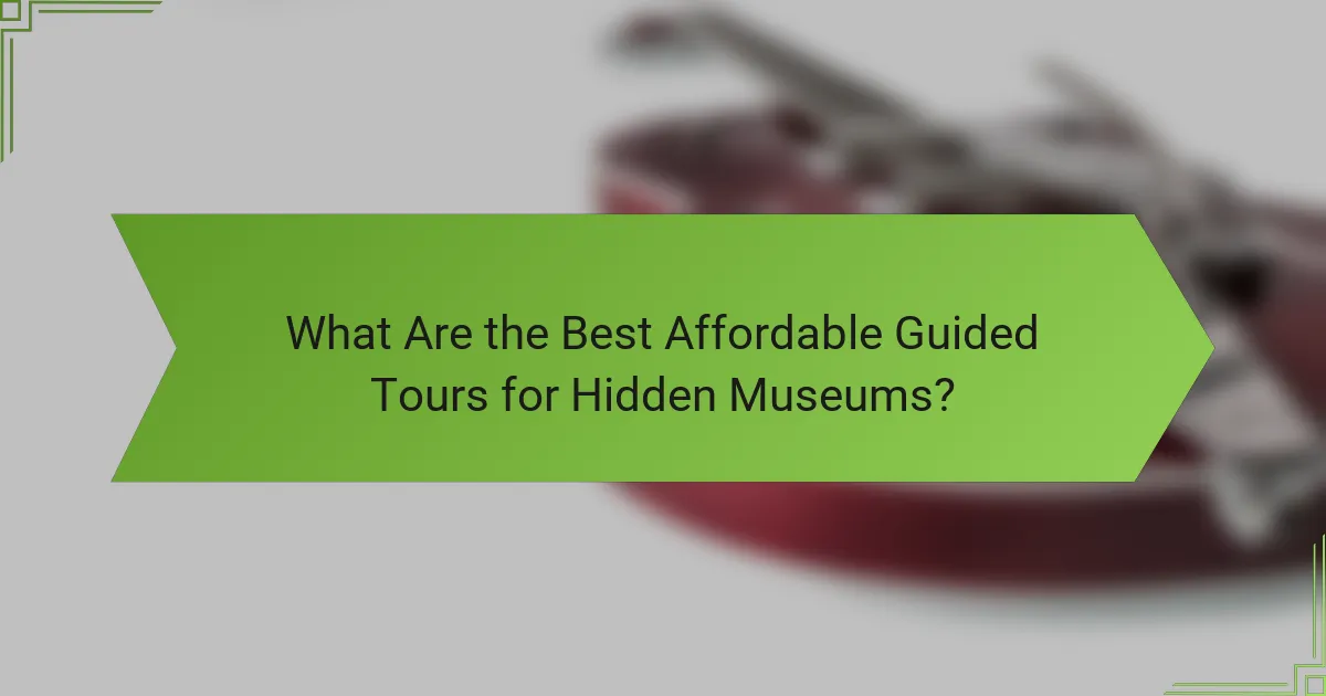 What Are the Best Affordable Guided Tours for Hidden Museums?