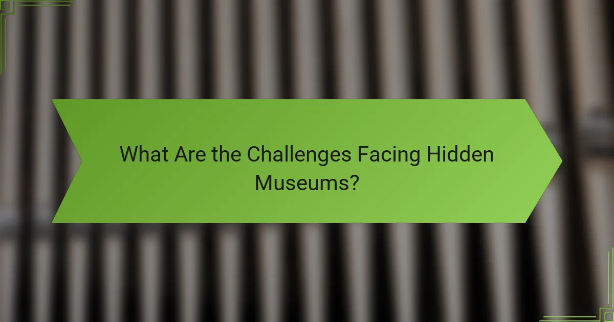 What Are the Challenges Facing Hidden Museums?